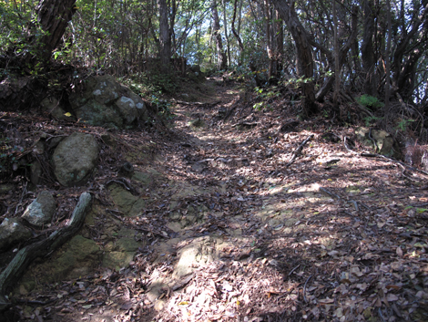 20131116hike (129)